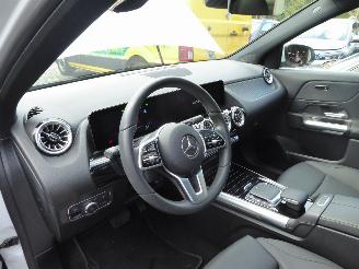 Mercedes EQA 250+ Luxury Line picture 14