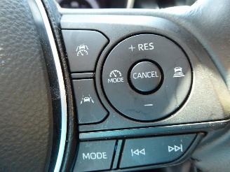 Toyota Corolla Touring Sports Lounge picture 19