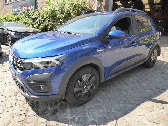 skadebil auto Dacia Sandero Expression 2025/3