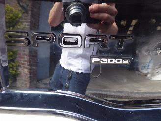 Land Rover Discovery Sport Hybrid SE AWD picture 10