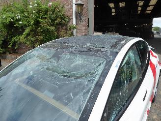 Tesla Model 3  picture 3