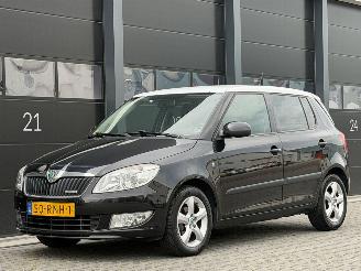 voitures voitures particulières Skoda Fabia 1.2 TDI Greenline 2011/7