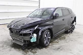 Schadeauto MG EHS  2025/9