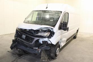 Schadeauto Fiat Ducato  2024/2