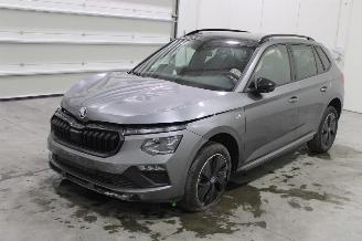 Unfallwagen Skoda Kamiq  2025/5