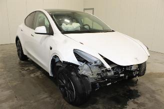 Tesla Model Y  picture 2