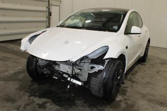 Avarii autoturisme Tesla Model Y  2025/2