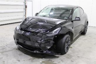 Schadeauto Tesla Model Y  2025/1