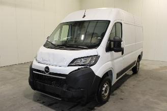Schadeauto Opel Movano  2025/10