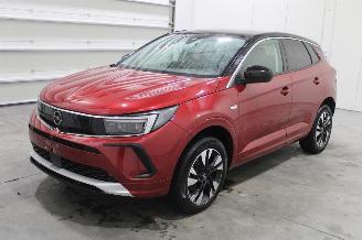 krockskadad bil auto Opel Grandland X 2023/9