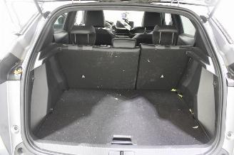 Peugeot 2008  picture 17
