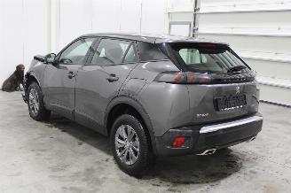 Peugeot 2008  picture 4