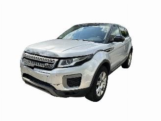  Land Rover Range Rover Evoque 2.0 HSE AUTOMAAT FACELIFT CAMERA 2016/8