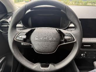 Skoda Fabia NEW! 1.0 TSI 115PK DSG7 Business Edition picture 19