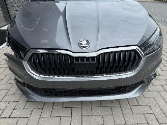 Skoda Fabia NEW! 1.0 TSI 115PK DSG7 Business Edition picture 38