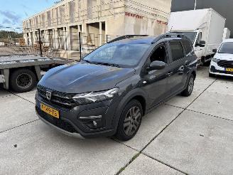 škoda osobní automobily Dacia Jogger 1.0 TCE 7 PERSOONS 81 KW NAVI - PDC - CLIMA 2022/6