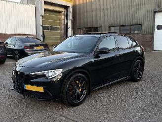 Avarii autoturisme Alfa Romeo Stelvio 2.0 T 280Pk AWD Super Pano Harman Kardon 2017/6