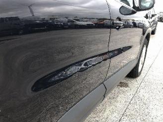 Volkswagen Tiguan 2.0 TDI picture 13