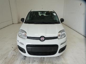 Fiat Panda EASY picture 2