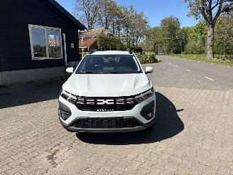 Dacia Sandero STEPWAY AIRCO CAMERA PDC APP B.J 03-2025 picture 5