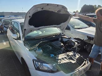 Skoda Fabia  picture 2