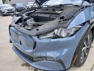 Ford Mustang MACH-E PREMIUM picture 13