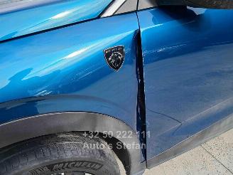 Peugeot 3008  picture 19