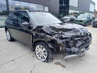 škoda osobní automobily Skoda Kamiq AMBITION 2024/6