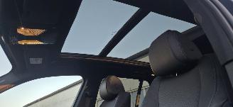 BMW X5  picture 13