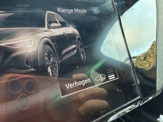 Audi SQ8 QUATTRO SPORTBACK E TRON 370 KW picture 32