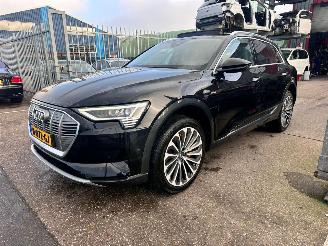 škoda osobní automobily Audi E-tron 55 QUATTRO 95KWH PRO LINE PLUS 2019/2