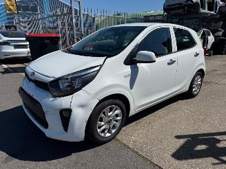 škoda osobní automobily Kia Picanto 1.0 2019/10