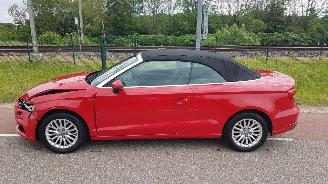 Avarii autoturisme Audi A3 CABRIO 1ste eigenaar First owner 2017/6
