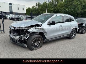 Mercedes EQA 300 4Matic 168KW AMG Sport Panorama picture 7