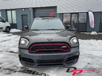 Mini Countryman Countryman (F60), SUV, 2016 2.0 16V John Cooper Works ALL4 picture 2