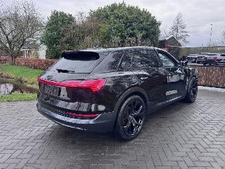 Audi E-tron e-tron 55 Quattro S-Line Camera Head-Up Display VOL picture 12