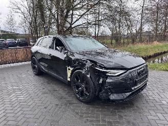 Audi E-tron e-tron 55 Quattro S-Line Camera Head-Up Display VOL picture 25