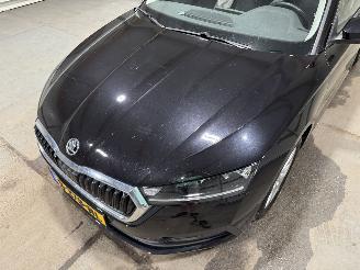 Skoda Octavia 1.0e-TFSI 81kW Automaat Pano Business Edition picture 23