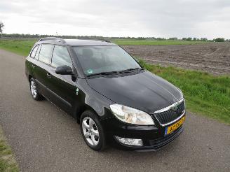 Voiture accidenté Skoda Fabia 1.2 TDi Greenline Business Line Navigatie Airco Climaat  2012 2012/8